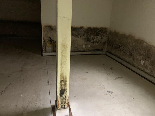 Mold Testing in Chester County, PA